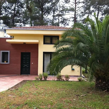 Holiday House In