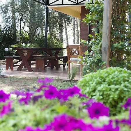 Holiday House In أفيتوس
